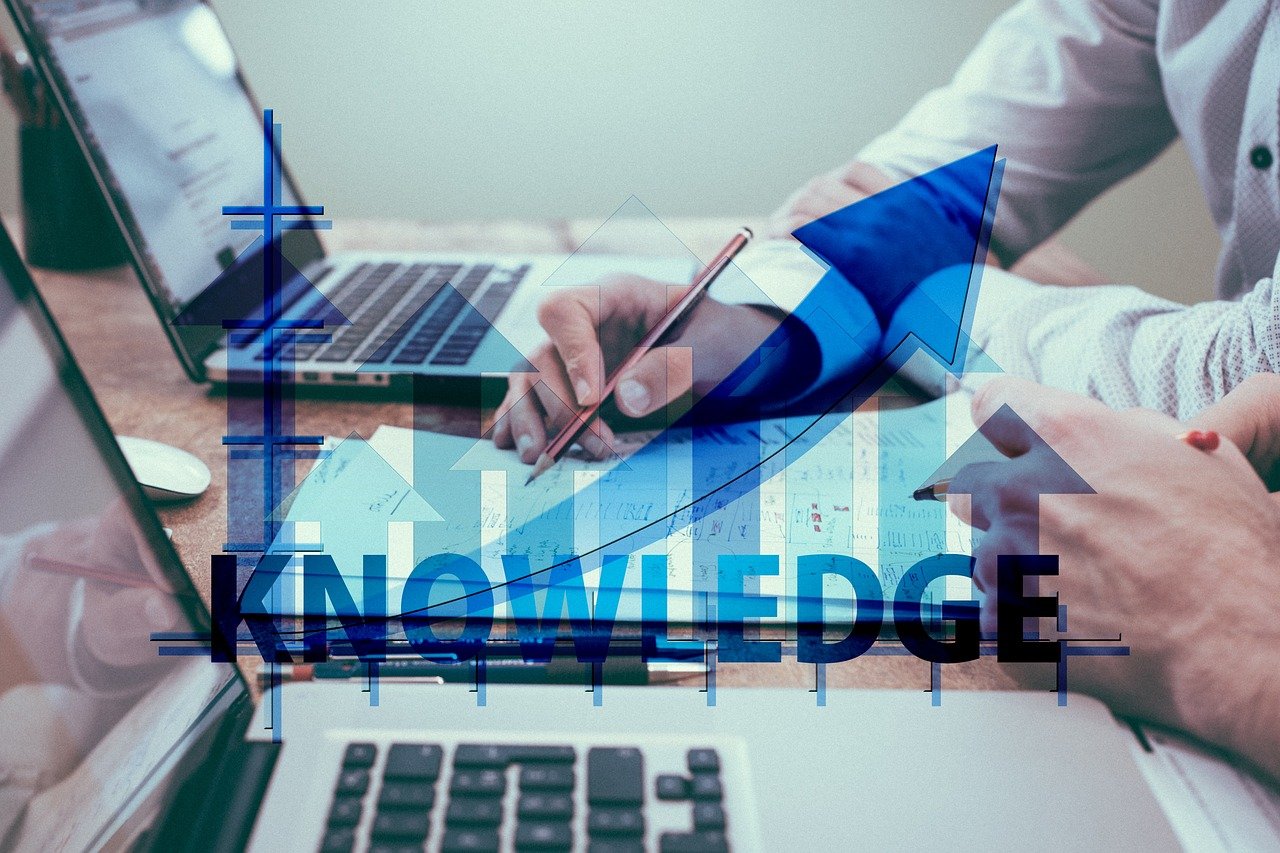startup, start up, start-up, freelancer, keyboard, skills, can, founding, business, hand, presentation, competence, knowledge, success, strategy, ability, experience, goal, concept, quality, marketing, idea, vision, laptop, competence, competence, ability, quality, quality, quality, quality, quality